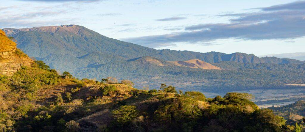 Finca Cristo Negro, Los Cedros, El Salvador
